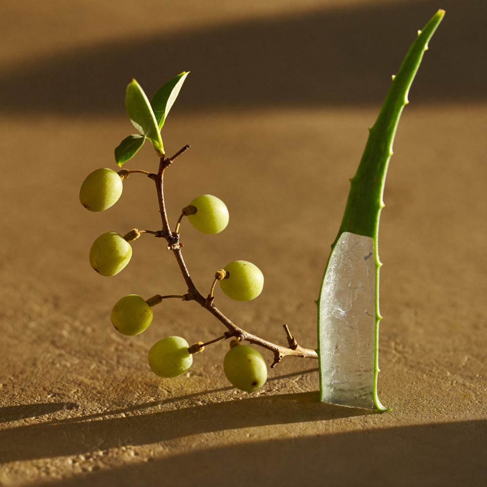 Ingredient botanicals, Kakadu plum and aloe vera