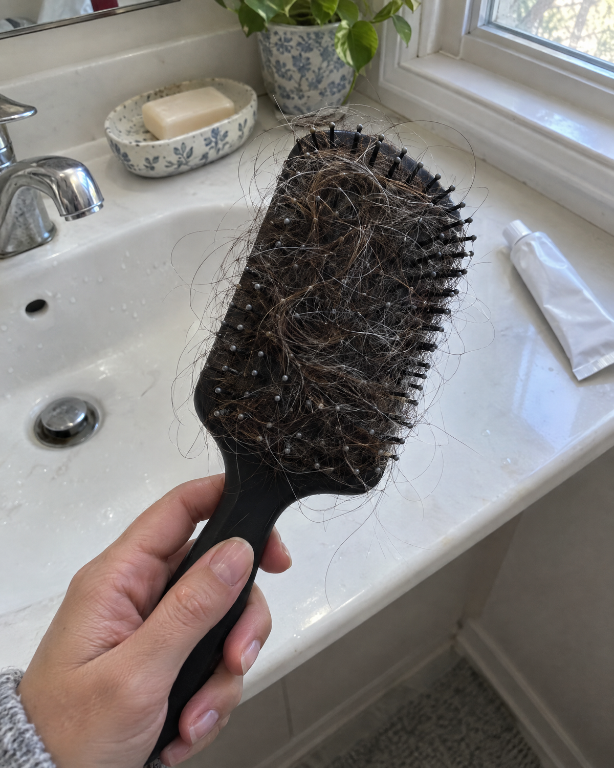 Hairbrush holding shed hair over a bathroom sink