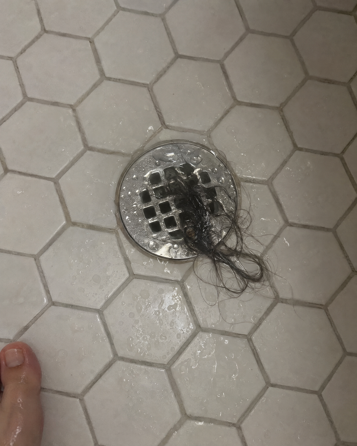 Hair caught on a shower drain